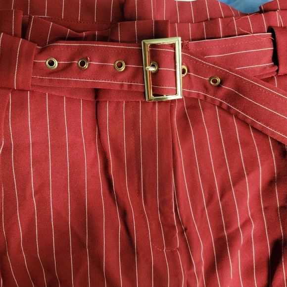 Red Pinstripe Pleated Pants + gold belt - Picture 6 of 10